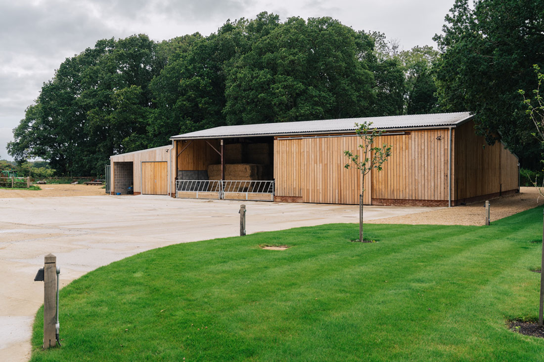 image column 3 widget_1697788108280