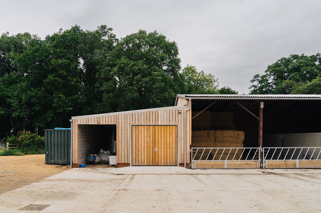 image column 2 widget_1697788108280