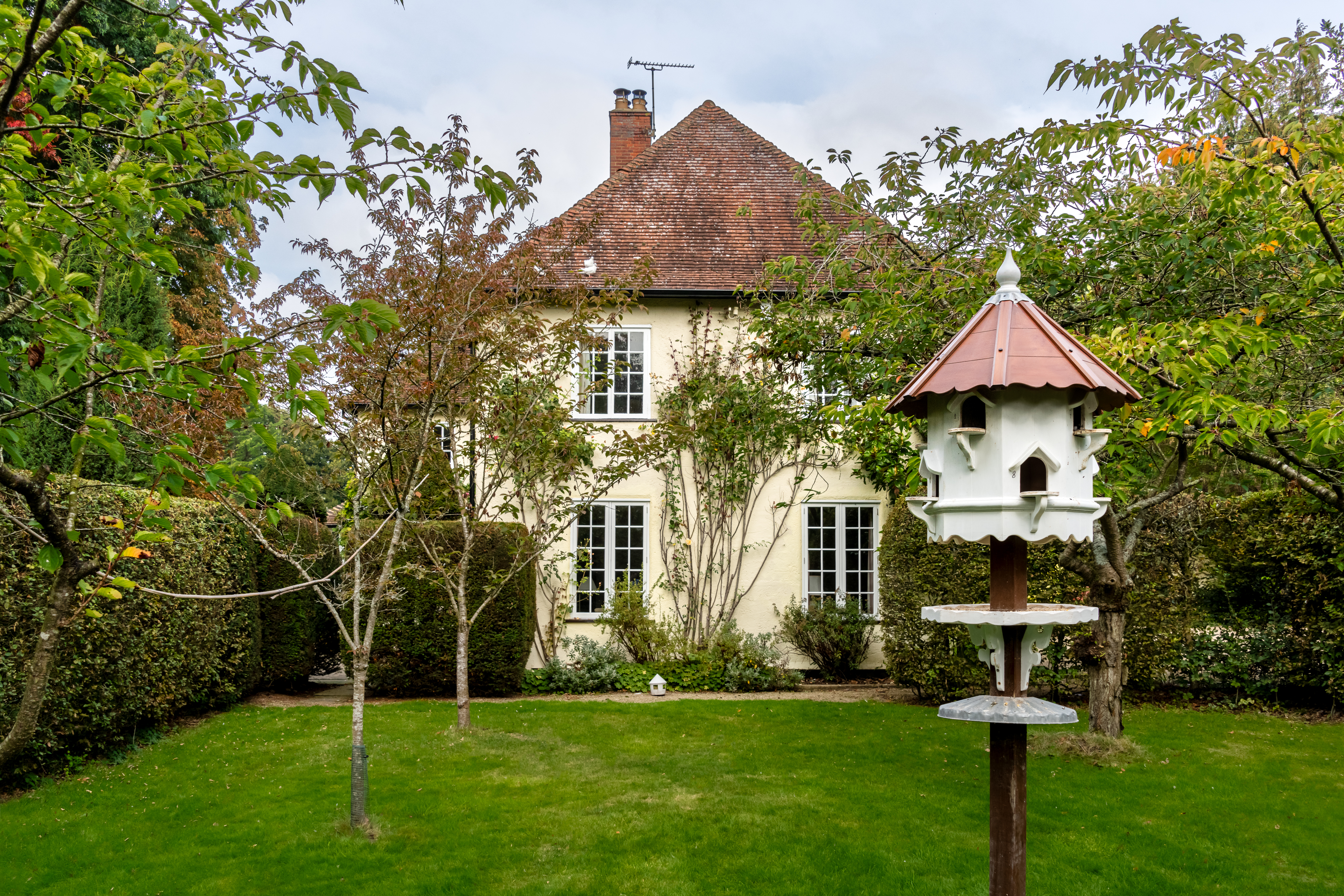 image column 2 widget_1697618502968