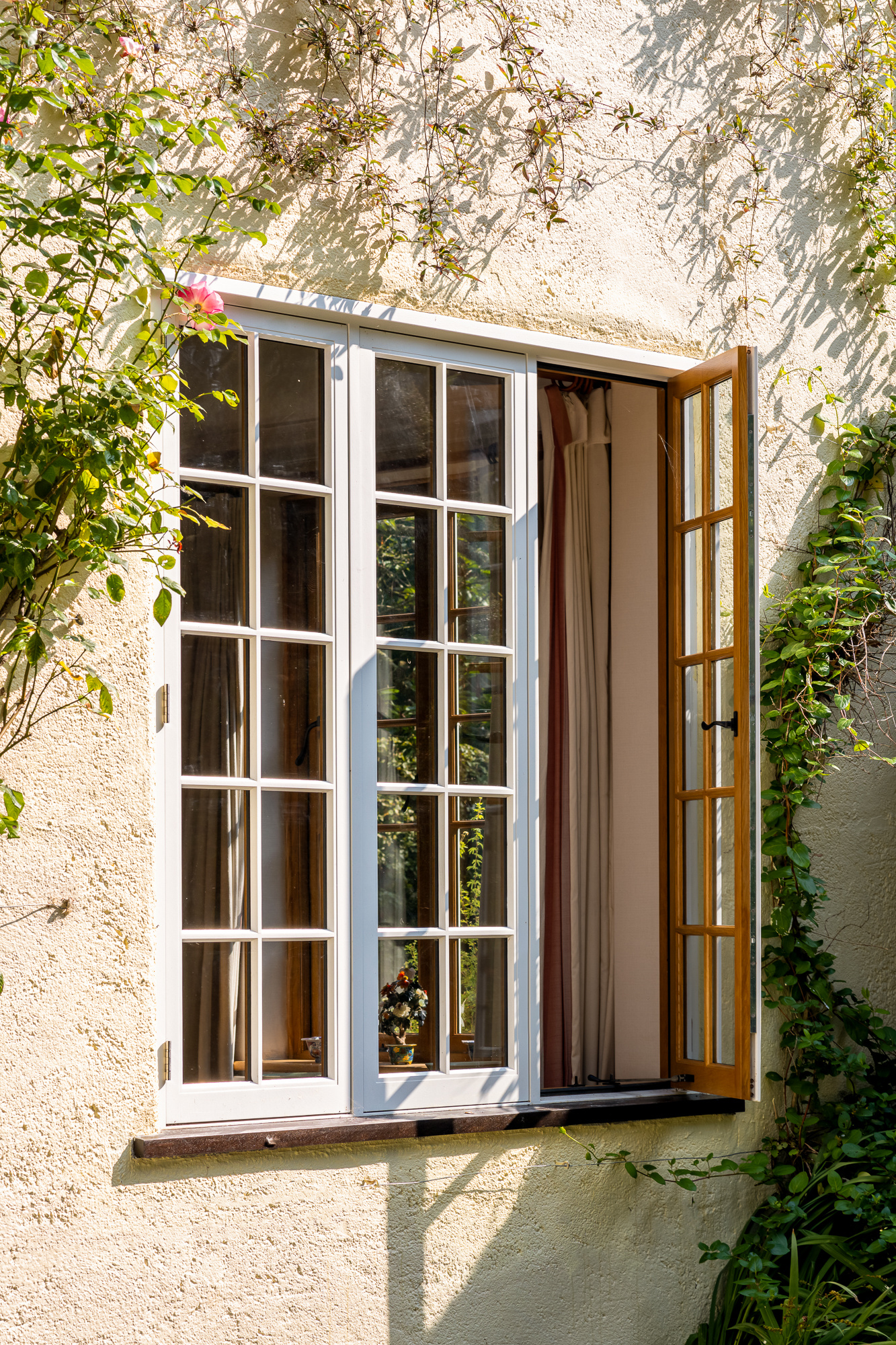 image column 1 widget_1697618502968