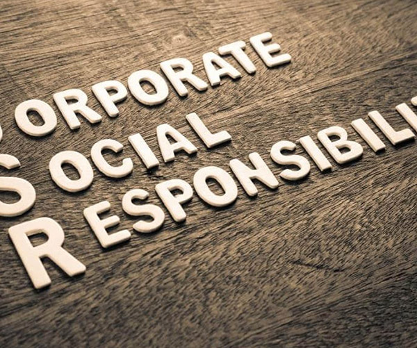 Salisbury CSR 600x500px